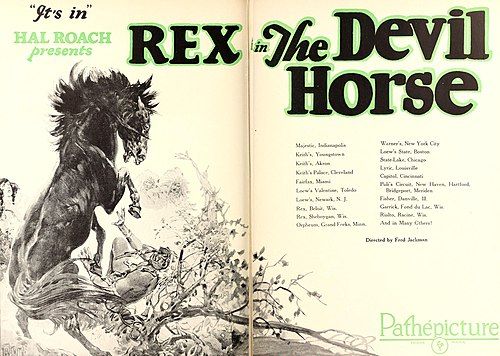 Rex the Devil Horse
