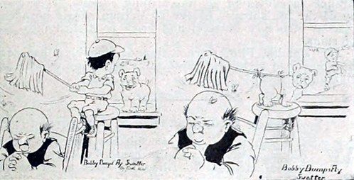 Bobby Bumps' Fly Swatter