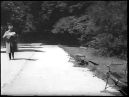 The White Slave Trade