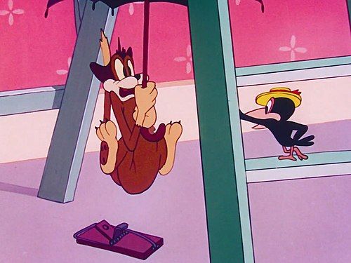 The Stupidstitious Cat