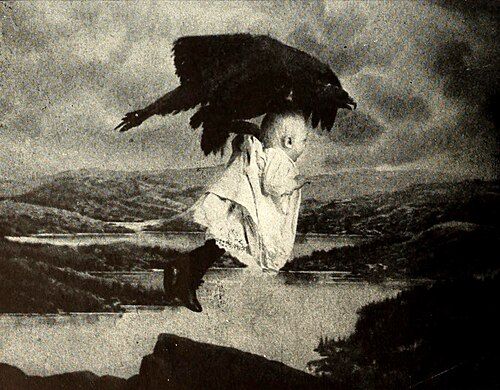 Rescued from an Eagle's Nest