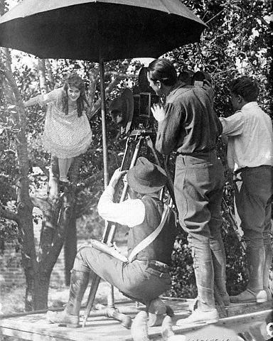 Through The Back Door