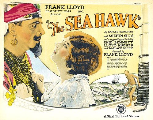 The Sea Hawk