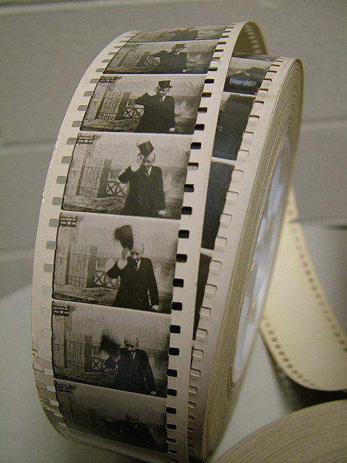 The Untamable Whiskers