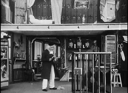 The Doctor and the Monkey