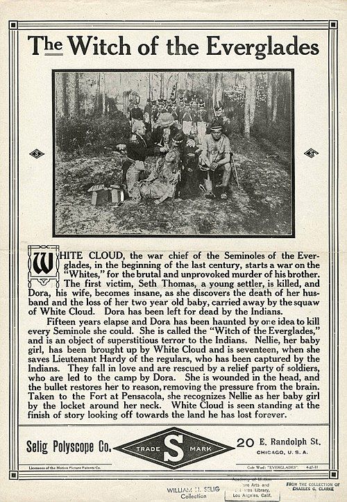 The Witch of the Everglades