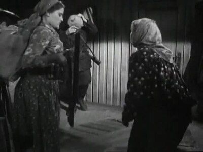 Collection of Films for the Armed Forces #6