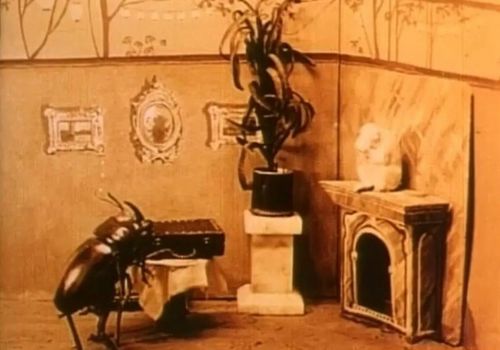 The Cameraman's Revenge