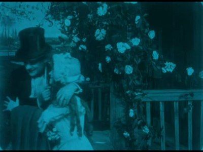 A Window on Washington Park