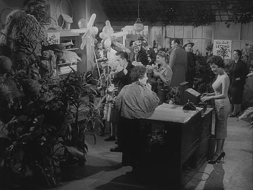 The Little Shop of Horrors