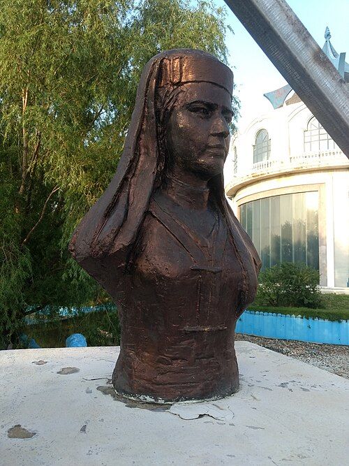 Visitors on the Icy Mountain