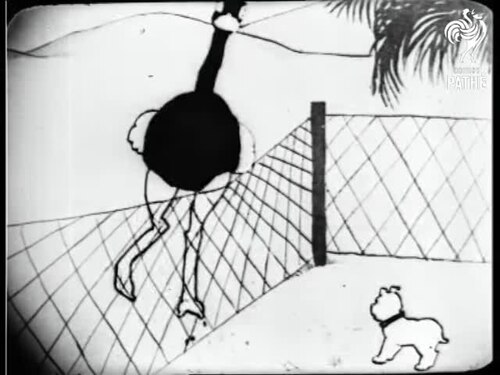 Bobby Bumps and the Ostrich Egg poster