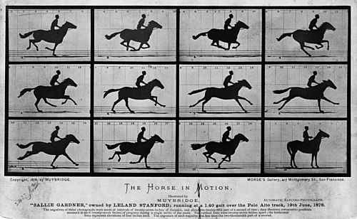 Sallie Gardner at a Gallop poster